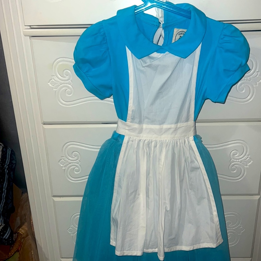 Taylor Joelle Alice In Wonderland inspired dress size 8